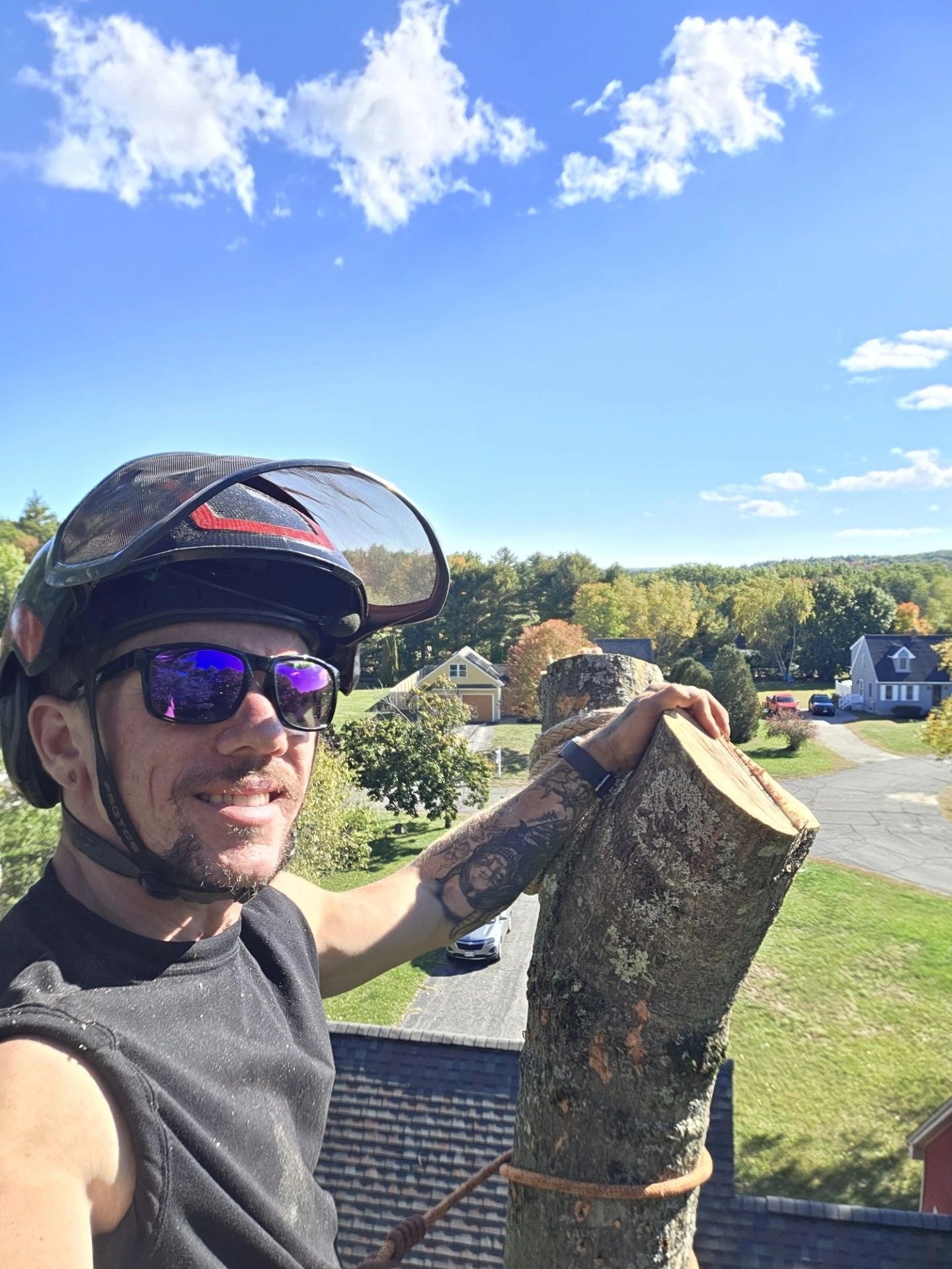 Owner and arborist of New England Tree Experts